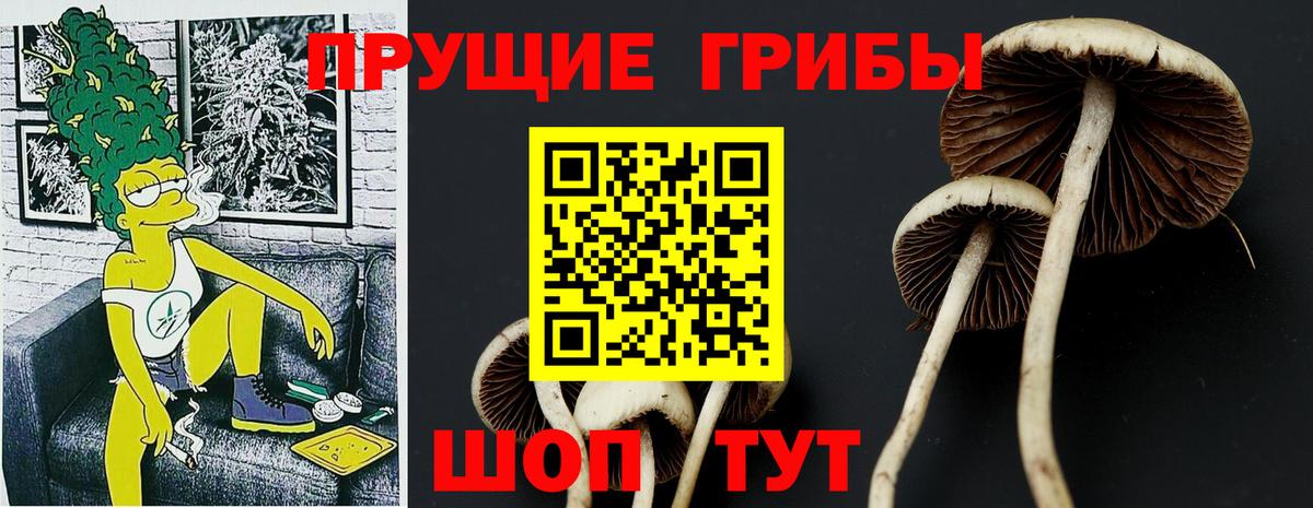 Галлюциногенные грибы ЛСД Ульяновск