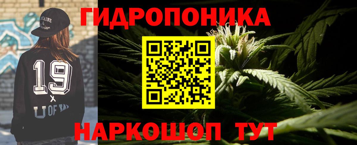 Конопля индика  Вход с VPN  Марихуана конопля  Ульяновск  МАРИХУАНА Ganja 